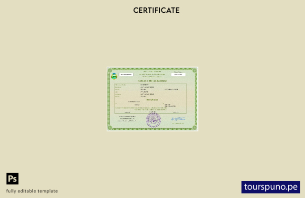 listo para imprimir certificado de matrimonio de Costa Rica Plantilla Word y PDF
